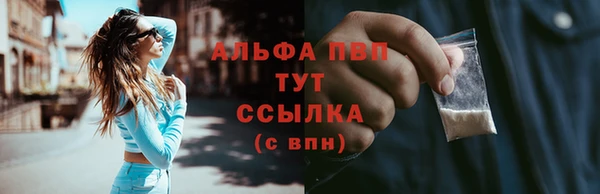 твердый Арсеньев