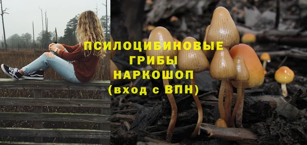 сатива Алексин