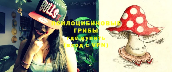 спайс Аркадак