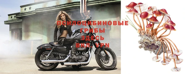 2c-b Алексеевка