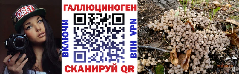 как найти наркотики  Баймак  Псилоцибиновые грибы ЛСД 